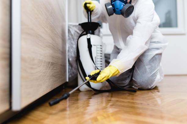Best Wasp Removal Services  in Bonne Terre, MO