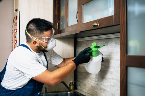 Best Flea Control Services  in Bonne Terre, MO