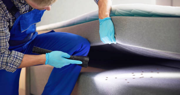 Best Termite Control Services  in Bonne Terre, MO