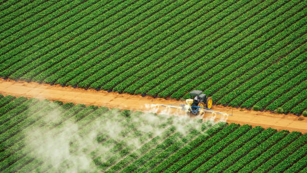 Reliable Bonne Terre, MO Pest Control Solutions