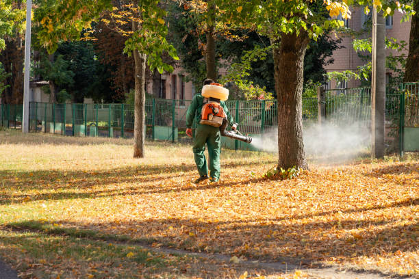 Best Wasp Removal Services  in Bonne Terre, MO