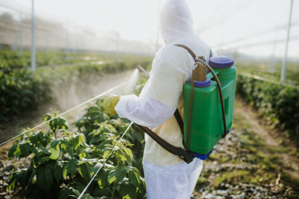 Pest Prevention Services in Bonne Terre, MO